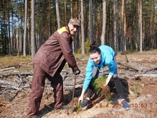 На Быховщине в акции «Неделя леса» приняли участие 435 человек