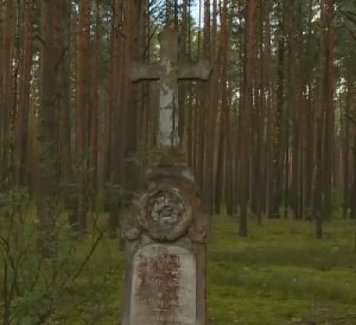 Лесное кладбище случайно обнаружили краеведы в Быховском районе
