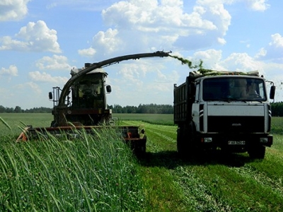 Заготовка кормов в Быховском районе набирает темпы