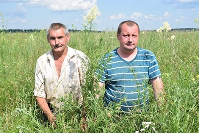 В ОАО «Быховрайагропромтехснаб» первый укос трав проведен на площади 524 гектара