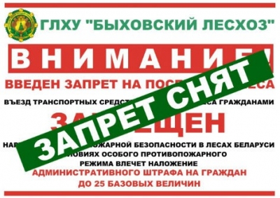 В Быховском районе снят запрет на посещение лесов