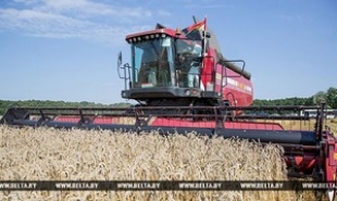 Первый миллион тонн зерна намолочен в Беларуси