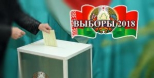 В Быховском районе проголосовало более 60% избирателей