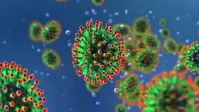 Количество случаев заражения коронавирусом выросло до 95,3 тыс.