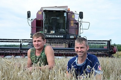 В СПК «Новобыховский» уже убрана половина площадей зерновых культур