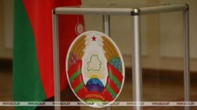 Лукашенко: мы провели выборы, других выборов не будет