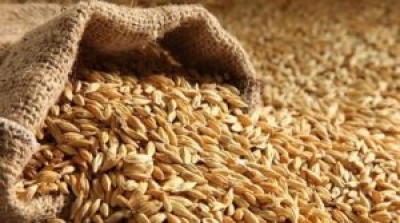 Белорусские аграрии намолотили 8,5 млн т зерна
