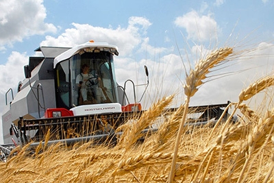 На Быховщине завершается уборка урожая зерновых и зернобобовых культур