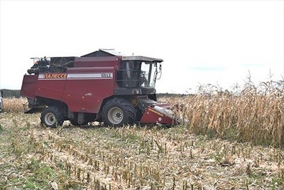В ОАО «Новобыховский» активно ведутся работы по уборке кукурузы