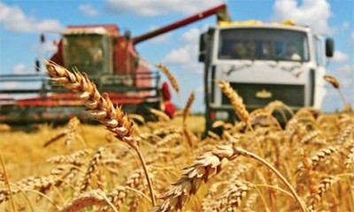 Аграрии планируют собрать в этом году около 7,6 млн т зерна