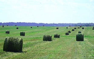 Хозяйства района приступили к заготовке травянистых кормов
