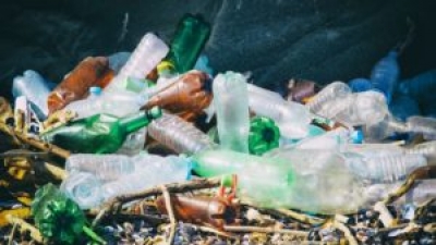 В Беларуси будут постепенно отказываться от пластиковой тары