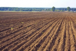 Бесхозяйственность и слабый кадровый потенциал - основные источники проблем АПК Беларуси