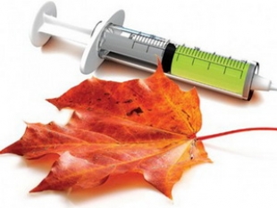 Массовая иммунизация населения Беларуси против гриппа начнется 1 октября