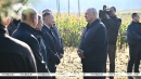 Что делать с "горами" вокруг Солигорска? Лукашенко ознакомился с экспериментом по повышению плодородия почв