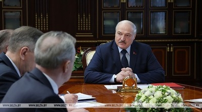 «Безответственность полнейшая». Лукашенко высказал критику по поводу медленных темпов лесовосстановления в Беларуси