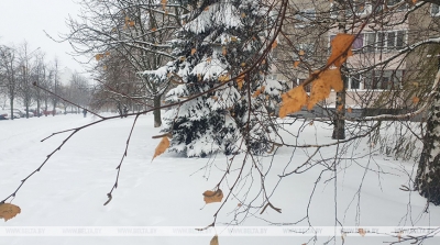 Небольшой снег и гололедица будут сегодня в Беларуси