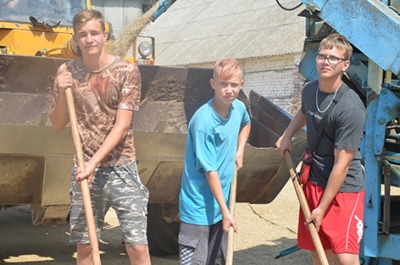В ОАО «Новобыховский» на зернотоке трудятся школьники