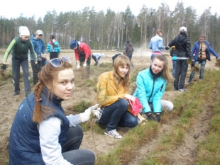В Быховском районе на посадке леса и благоустройстве лесного фонда трудились 459 человек