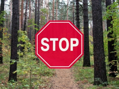 Запрет на посещение лесов! Что нужно знать!