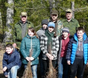 В Быховском районе добровольцы посадили около 90 тысяч деревьев