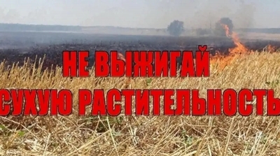 Пал сухой травы: опасность и ответственность