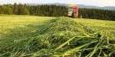 Информация о ходе сельскохозяйственных работ в Быховском районе по состоянию на 1 июля