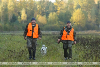 Сезон охоты на рябчика и серую куропатку в Беларуси начнется 5 сентября