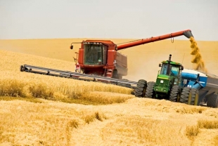 Беларусь перешагнула в жатве рубеж в 8 млн.т зерна