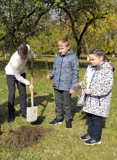 Акция «Посади дерево» прошла на территории гимназии г.Быхова