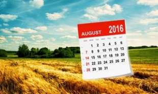 Изменения с августа в Беларуси