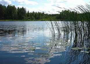 За прошедшую неделю в водоемах Беларуси утонули 13 человек