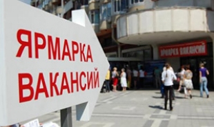 Количество безработных в Беларуси снижается уже третий месяц