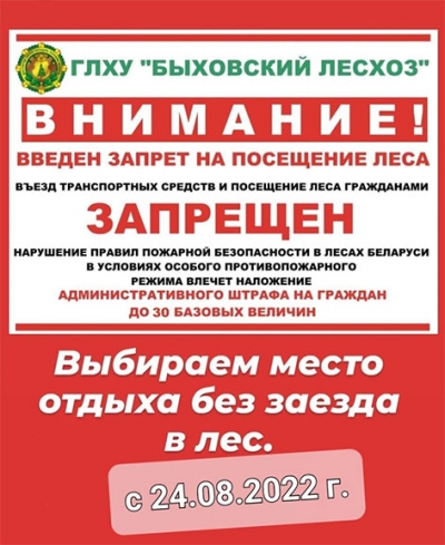 С 24 августа в Быховском районе введен запрет на посещение леса