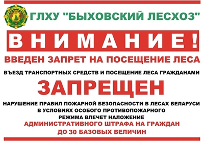 С 9 июля в Быховском районе введен запрет на посещение лесов!