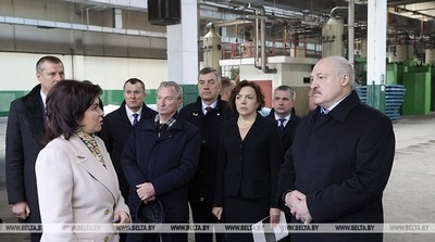 «Не загубить стратегическое направление экономики» — что Лукашенко ждет от работы кожевенного завода в Гатово