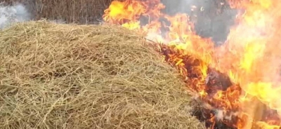В Могилевском районе сгорели 4,5 тонны сена