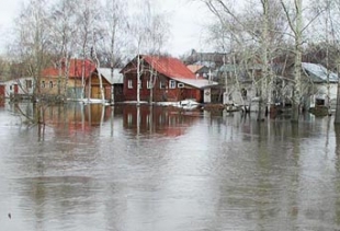 Паводковыми и талыми водами остаются подтопленными 67 жилых домов в Беларуси
