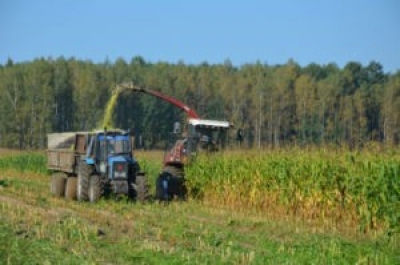 Белорусские аграрии намерены завершить уборочную в кратчайшие сроки — Минсельхозпрод