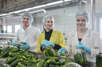Студенты Белорусского государственного университета пищевых и химических технологий трудятся на Быховщине