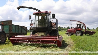 В Беларуси травы убраны почти с 80% площадей