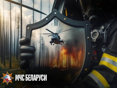 Специальное профилактическое мероприятие &laquo;Зелёный щит&raquo; стартовало в Быховском районе