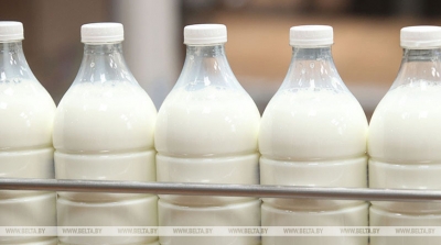 Производство сельхозпродукции в Беларуси в первом полугодии увеличилось на 10,2%
