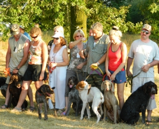 В Быховском районе в урочище «Дубки» прошел открытый чемпионат РБ легавых собак по болотной дичи «Горка-2012»