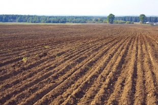 В Быховском районе за 2012 год площадь пахотных земель увеличилась на 149 гектаров