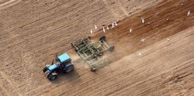 Сев озимых зерновых в Беларуси проведен почти на половине площадей