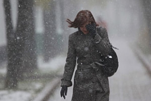 Сильные снегопады и ветер ожидаются в ближайшие дни на юго-востоке Беларуси