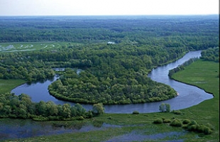 Более 8,2% территории Беларуси к 2015 году будет носить статус природоохранного заказника