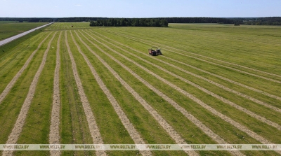В Беларуси убрано почти 79% площадей трав