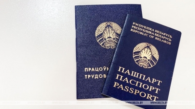 Уже более 8,5 тыс. трудоустроенных. Как организована временная занятость для молодежи, рассказали в Минтруда